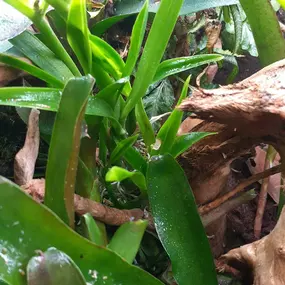 Bild von AquaLifeScape