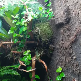 Bild von AquaLifeScape