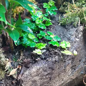 Bild von AquaLifeScape