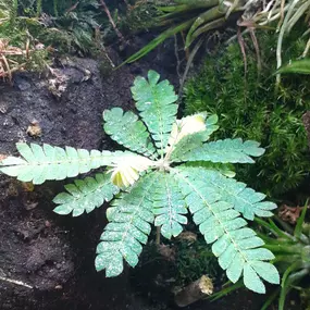 Bild von AquaLifeScape