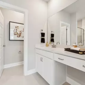 Spa Inspired Primary Baths at Skylar Townhome Style Condos