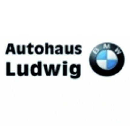 Logotyp från Michael Ludwig e.K.