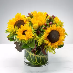 Bild von Moller's Flower Shop