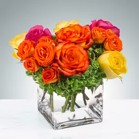 Bild von Moller's Flower Shop