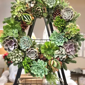 Bild von Moller’s Garden Center
