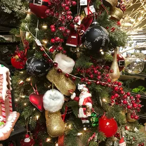 Bild von Moller’s Garden Center