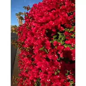 Bild von Moller’s Garden Center