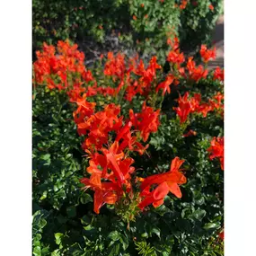 Bild von Moller’s Garden Center
