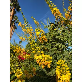 Bild von Moller’s Garden Center