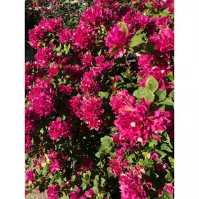 Bild von Moller’s Garden Center
