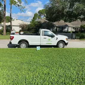 Bild von Barefoot Grass