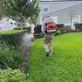 Bild von Barefoot Grass
