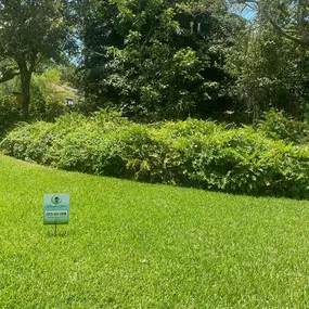 Bild von Barefoot Grass