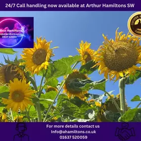 Bild von Arthur Hamiltons SW Ltd