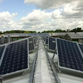 Bild von Solarreinigung SolarPLUS Cleaning