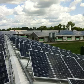 Bild von Solarreinigung SolarPLUS Cleaning