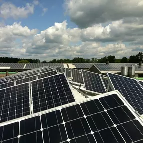 Bild von Solarreinigung SolarPLUS Cleaning
