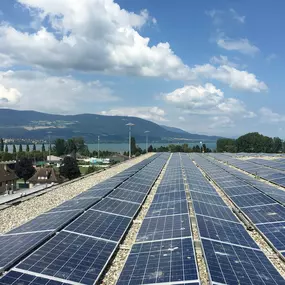 Bild von Solarreinigung SolarPLUS Cleaning