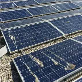 Bild von Solarreinigung SolarPLUS Cleaning