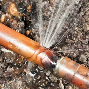 Bild von Affordable Plumbing Services