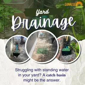 Bild von Sunrise Drainage