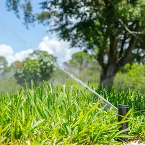 Bild von Sunrise Irrigation