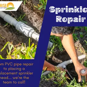 Bild von Sunrise Irrigation