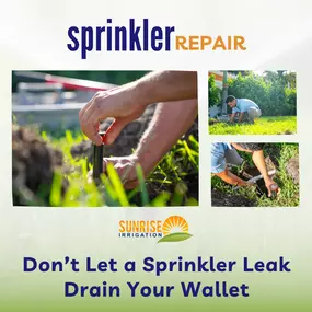 Bild von Sunrise Irrigation