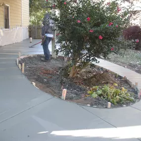 Bild von Concrete Ninja