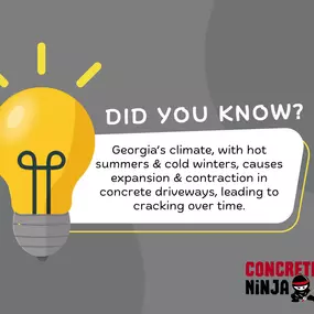 Bild von Concrete Ninja