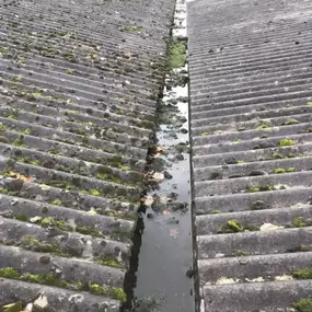 Bild von 24 Hr Rapid Roofing & Gutter Service