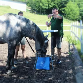 Bild von Human - & Tier-Organetiker - Thomas Karl Sternad