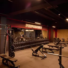 Fitness First Biberach - Freeweight Area