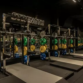 Fitness First Biberach - Power Racks