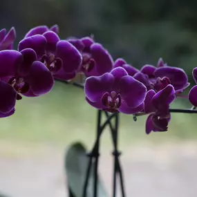 Bild von Physio Schorfheide Heilpraxis