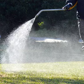 Bild von Blue Duck Pest Control