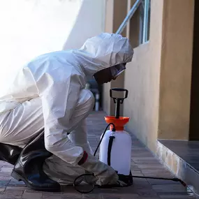Bild von Blue Duck Pest Control