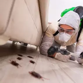 Bild von Blue Duck Pest Control