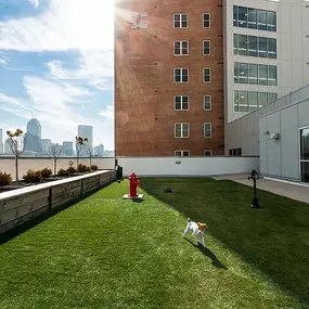 Bild von 9 on Canal Downtown Apartments