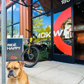 Bild von Mokwheel E-Bikes