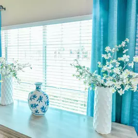 Light and bright windows