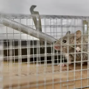 When you need exterminator services, we’ll be there to deliver.