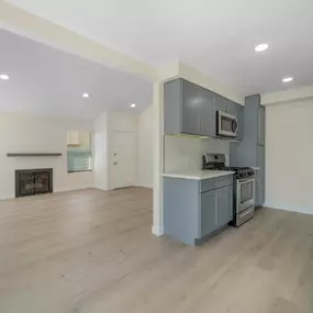 Kitchen And Living Area