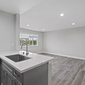 Sink With Faucet