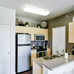Modern kitchen with stainless steel appliances, wood cabinets, and green accent wall