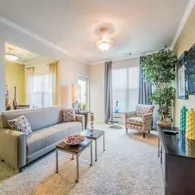 Well-lit apartment interior with a grey couch and television