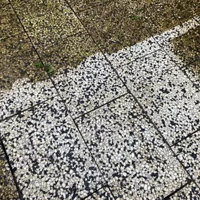 Bild von Sascha Hube Sanierungscenter Hube