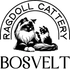 Bild von Ragdoll cattery Bosvelt
