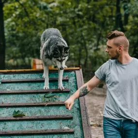 1-on-1 Dog Training Session.