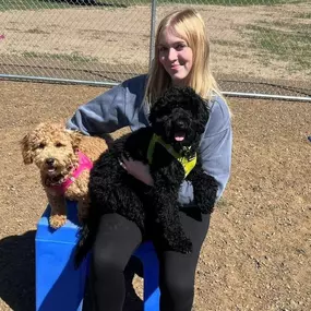Best Dog Boarding Kennel in the Princeton, MN Area.